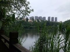 -重庆彩云湖湿地公园