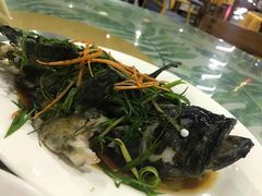 -四姑娘川味海鲜(八爪鱼店)