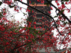 -塔子山公园