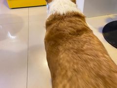 -平行世界·猫咖(首经贸店)