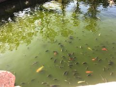 -揭阳学宫(榕城区)