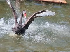 -映月湖公园