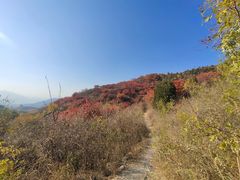 -北京西山国家森林公园