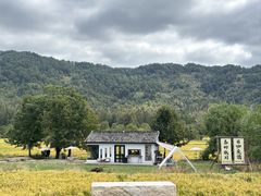 -塔川景区