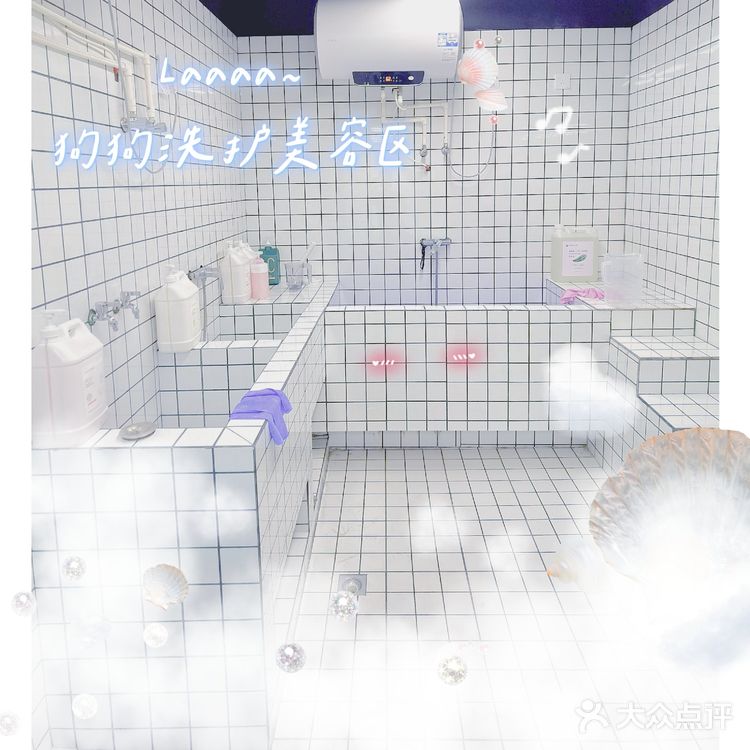 探店 ‖ 一起养宠物,一起快乐吧~