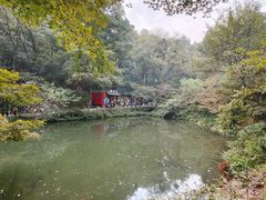 -岳麓山风景名胜区