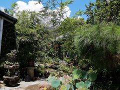 -罗浮山·罗园农庄