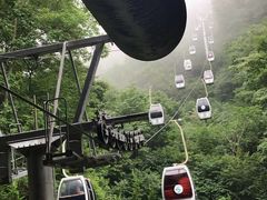 -老界岭旅游度假区