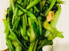 白灼菜心-大树餐厅(红旗街万达店)