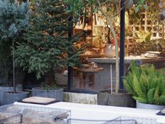 -自由生长植物工作室(深港花卉中心店)