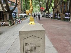 -西安电影制片厂