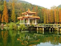 -深圳仙湖植物园
