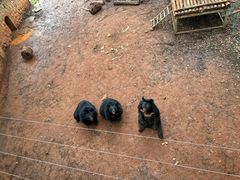 -昆明动物园