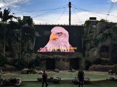-新加坡飞禽公园