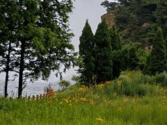 -棒棰岛宾馆景区