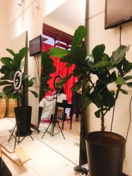 -Hello Lady发型设计