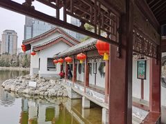 -团结湖公园