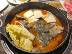 -青青河边草·小小河边鱼(万达广场太仓店)