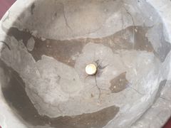 -姚记抚仙湖石锅鱼庄