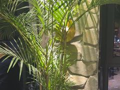 -陈熹公民族美食文化餐厅(中华广场店)