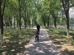 -东郊湿地公园
