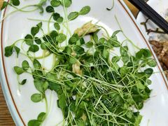 -八次方密云水库鱼粘卷子·熏鸽子·农家菜