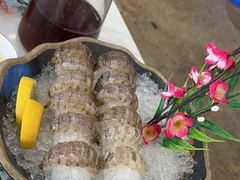 瀨尿蝦刺身-嘉升大排档(番禺总店)