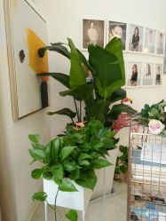 -新蝶变皮肤管理中心