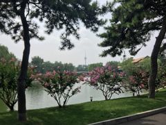 -钓鱼台国宾馆