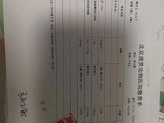-北京观赏动物医院·24小时大型综合·猫专科·异宠专科