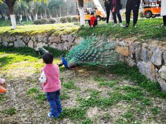 -安徽大青山野生动物世界