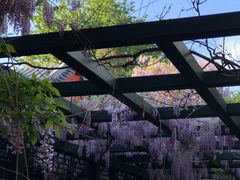-北京市劳动人民文化宫(太庙)