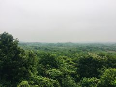 -南京老山国家森林公园