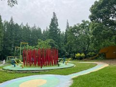 -东平国家森林公园