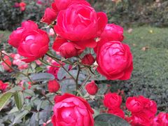 -人民公园(罗湖区)