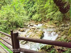 -西岭雪山大飞水景区