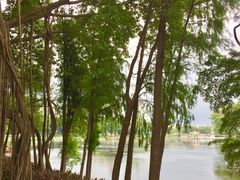 -荔湾湖公园