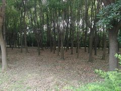 -蜀冈西峰生态公园