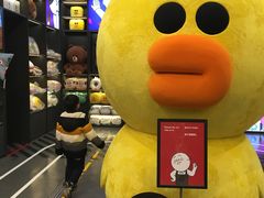 -line friends(明洞旗舰店)