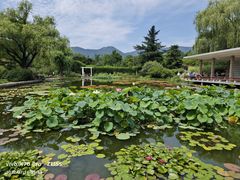 -国家植物园南园