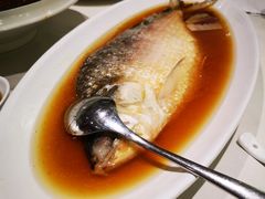 -蝶园·装修中(BFC外滩金融中心店)