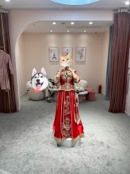 -韩国天使嫁衣婚纱礼服馆(上海旗舰店)