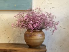 -云里小坐·小院里·团建·宴请·下午茶(三圣乡店)
