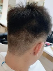 -YESIDO椰岛造型