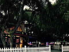 -枫花园汽车电影院(朝阳公园店)