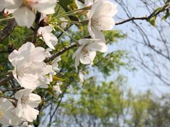 -杭州城北体育公园