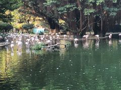 -九龙公园