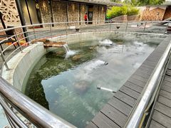 -凤阁楼果木烧鹅(鹤山陈山店)