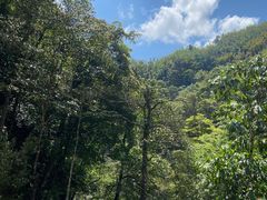 -赤水丹霞旅游区·大瀑布