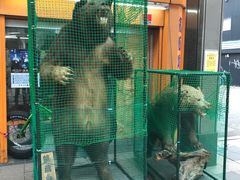 -狸小路商店街